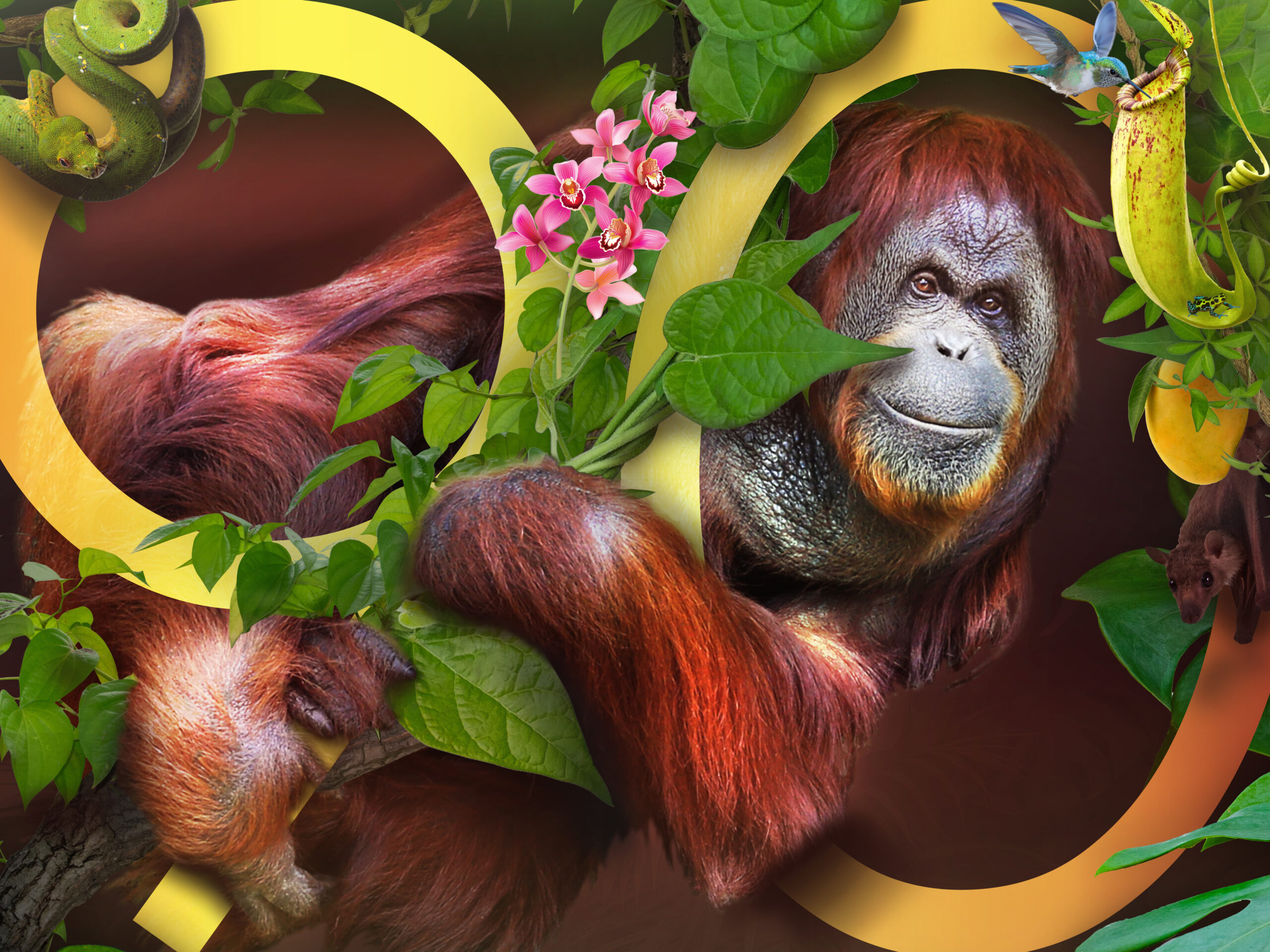 San Francisco Zoo 90th Anniversary campaign by Cooper, Levy & Partners, a San Francisco design studio